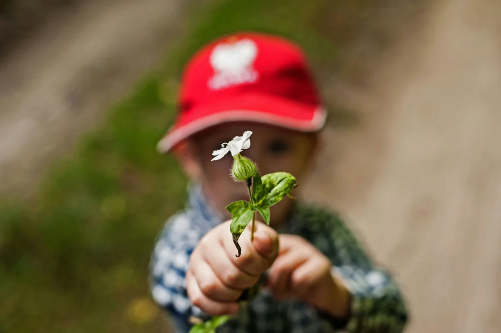 Niño sosteniendo con orgullo planta con flor blanca del huerto que ha cultivado